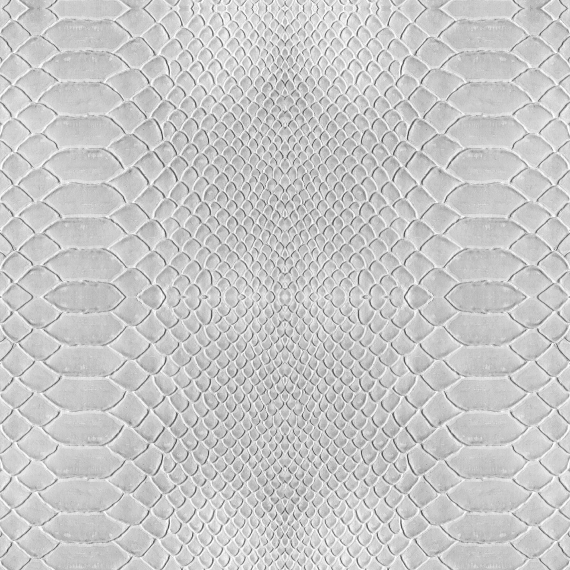 Simplify Gray Python Adhesive Wallpaper